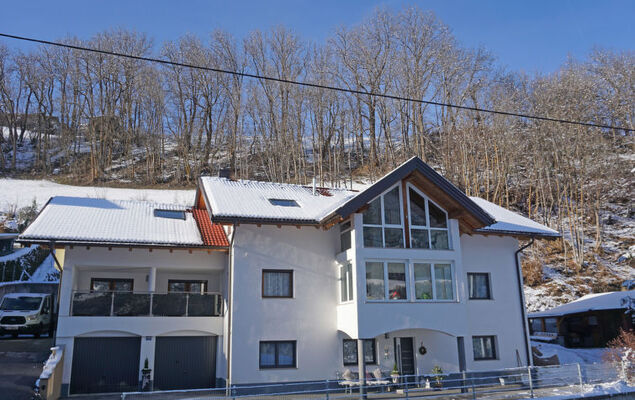 Walzthöni - Photo 45