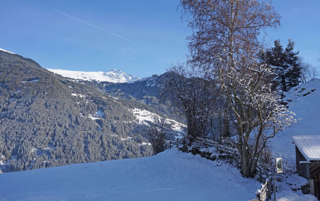 Walzthöni - Photo 47