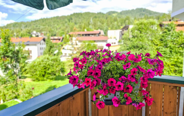 Lueg ins Land - Photo 28