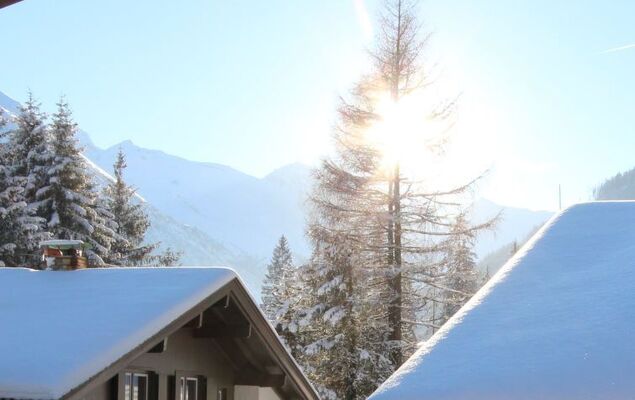 Chalet Elisabeth - Photo 49