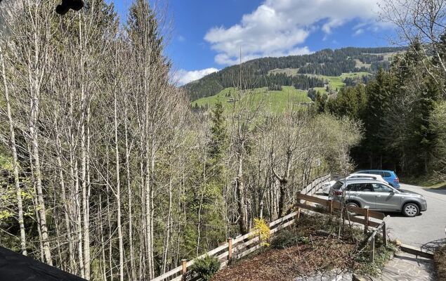 Kaiserhof - Photo 27