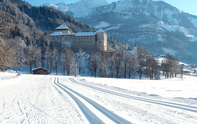 Mooslehen - Photo 31