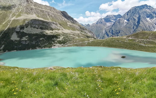 Alpengruss - Photo 24